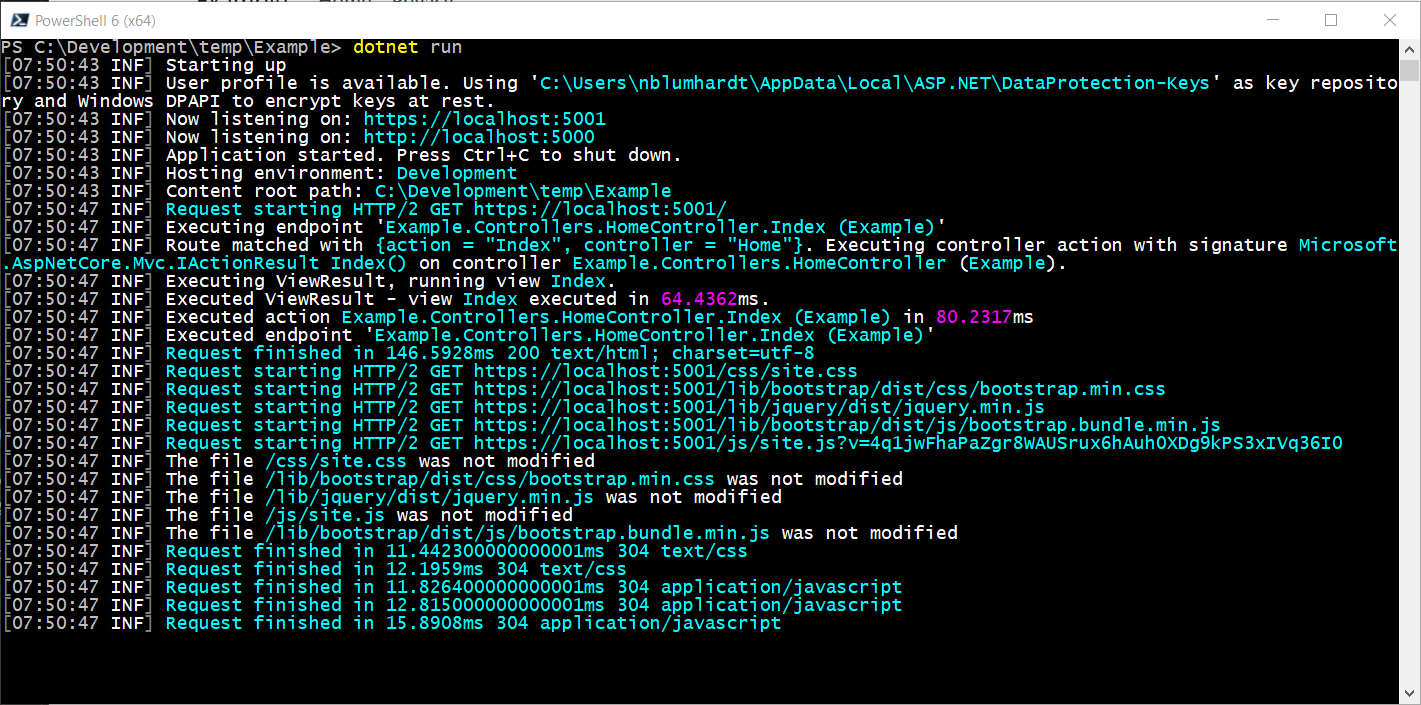 Serilog Terminal Output